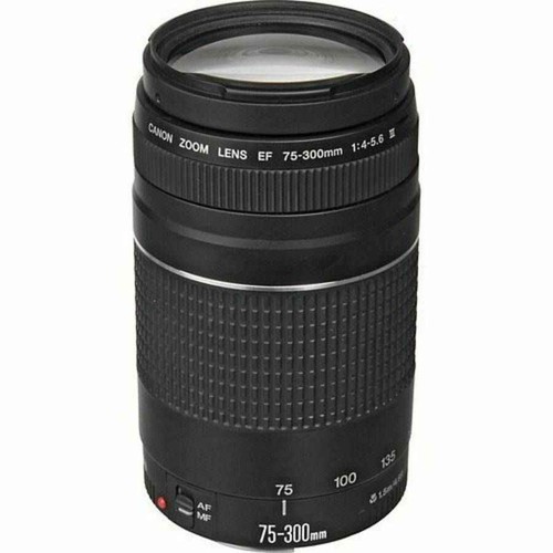 Canon 300mm 5 - ef, iii