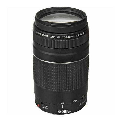Canon 300mm 5 - 75-300mm, iii