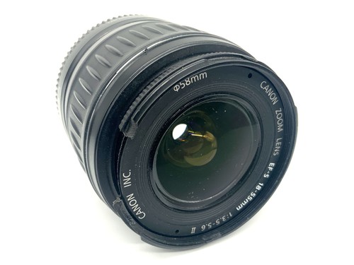 Canon zoom lens 55mm - canon,